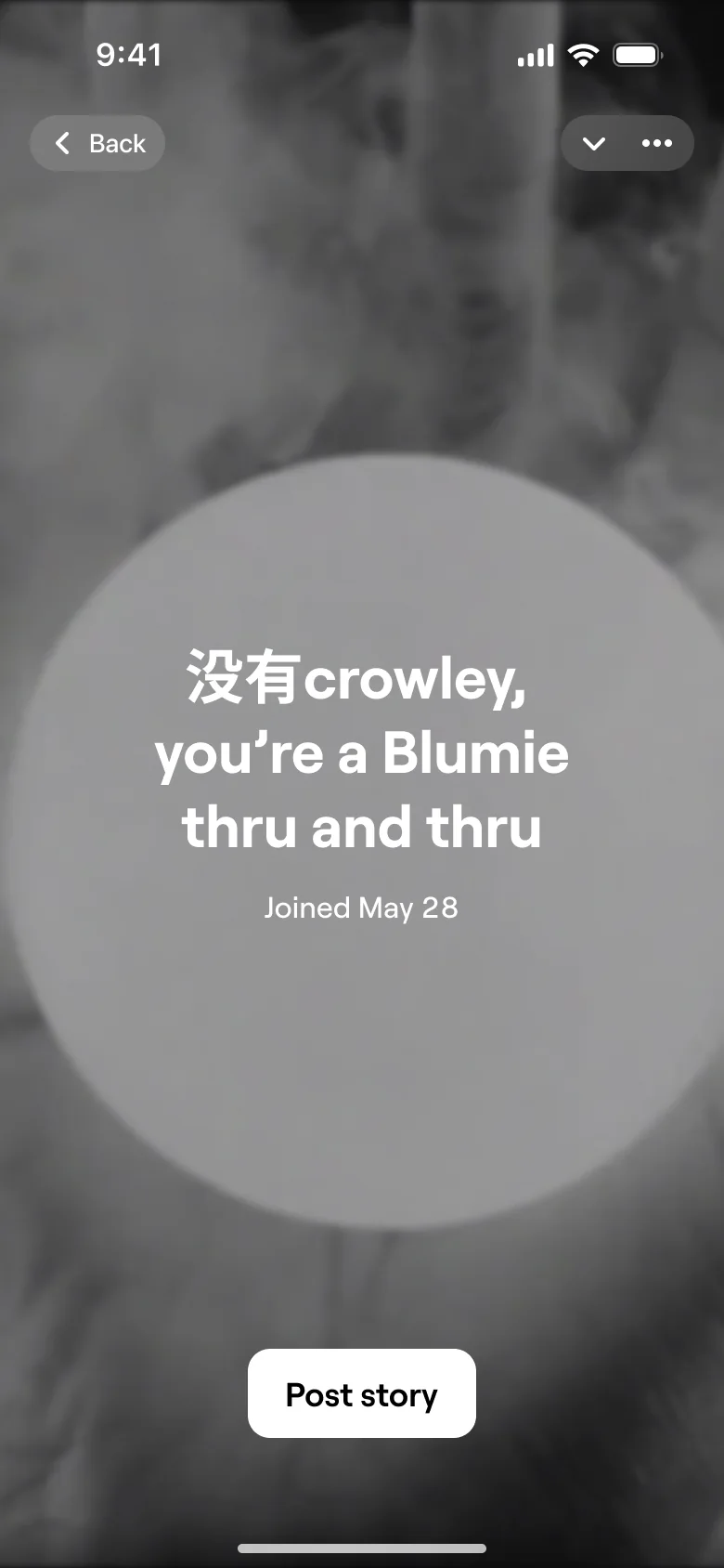 A shareable story: a pale sphere in smoke and a personal line, you are a Blumie thru and thru, with Post story.
