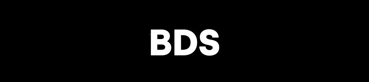The name BDS alone, white on black: the design system.